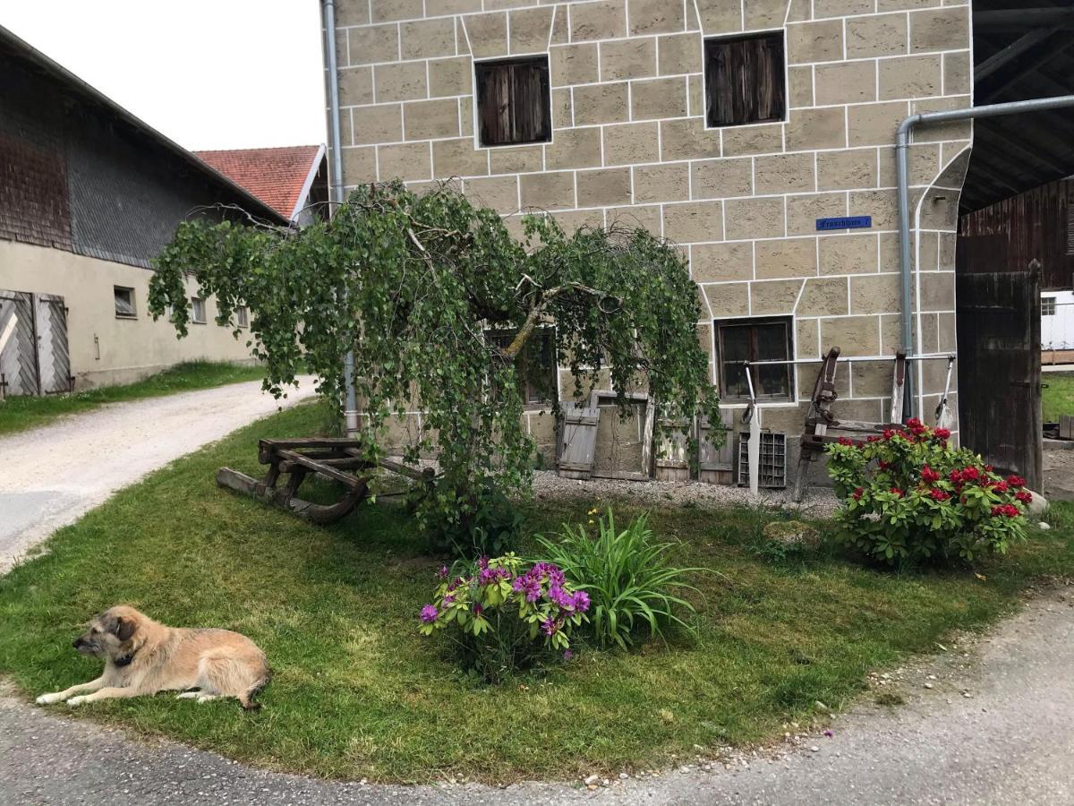 Pferdehof-Dietzsch Tittmoning Extérieur photo